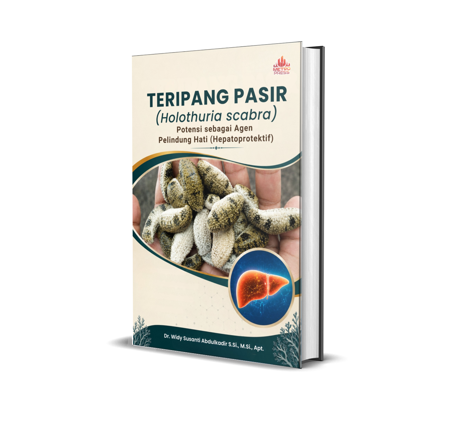 Teripang Pasir (Holothuria scabra) Potensi sebagai Agen Pelindung Hati (Hepatoprotektif)
