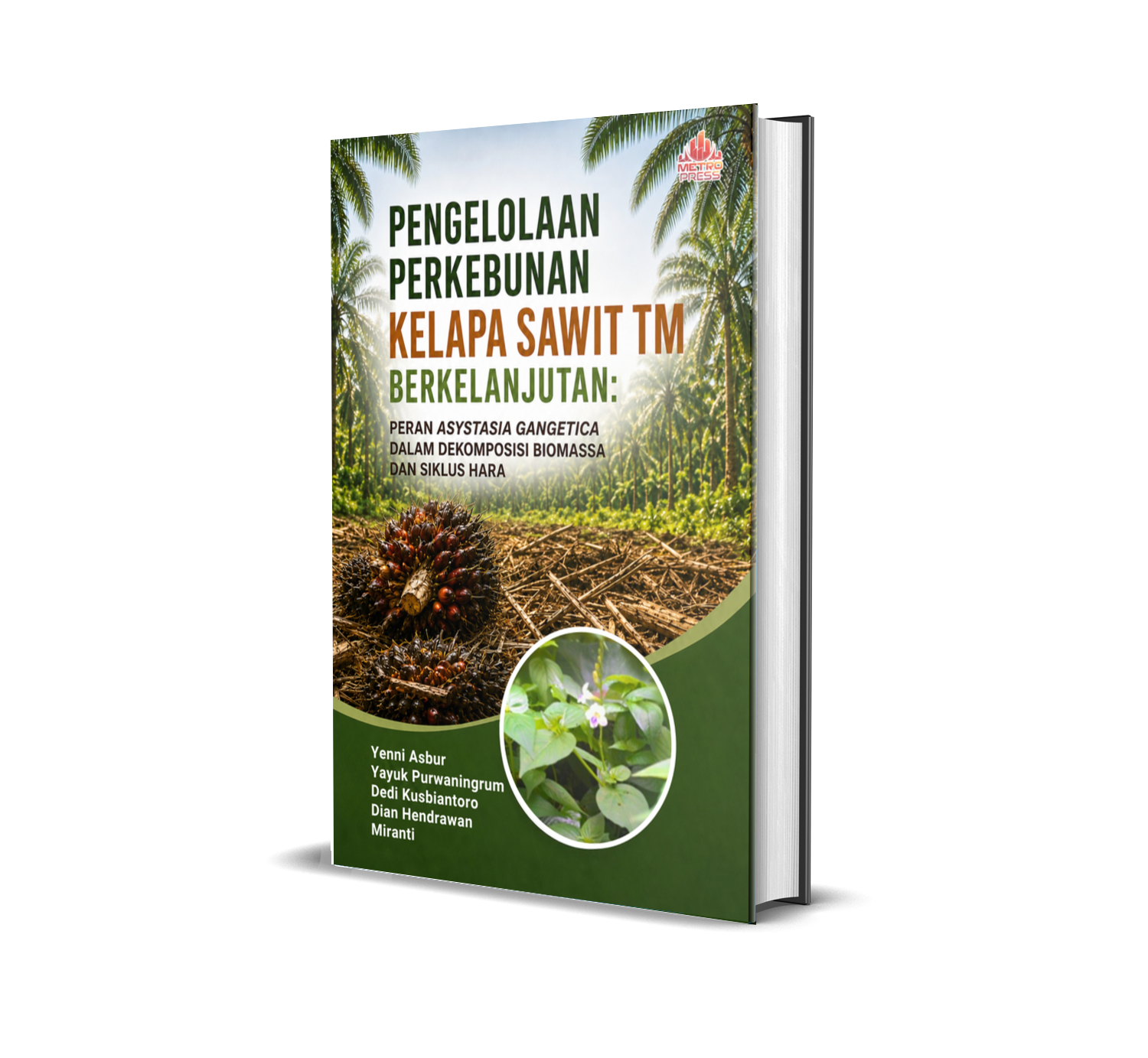 PENGELOLAAN PERKEBUNAN KELAPA SAWIT TM BERKELANJUTAN: PERAN ASYSTASIA GANGETICA DALAM DEKOMPOSISI BIOMASSA DAN SIKLUS HARA